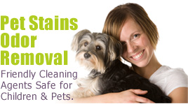New York pet stain removal NY