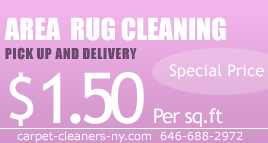 NY area rug cleaning in New York